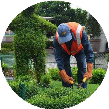 Person performing landscaping work